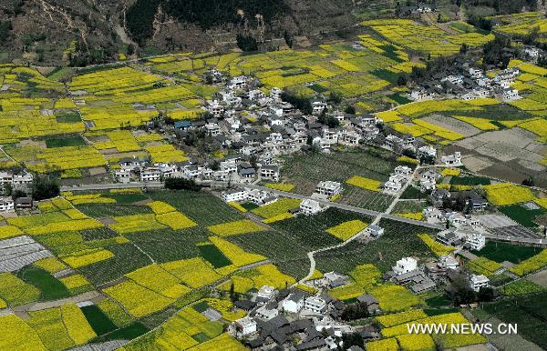 The bird's eye-view photo taken on April 10, 2011 shows part of the rural area in Qingchuan County, southwest China's Sichuan Province. 