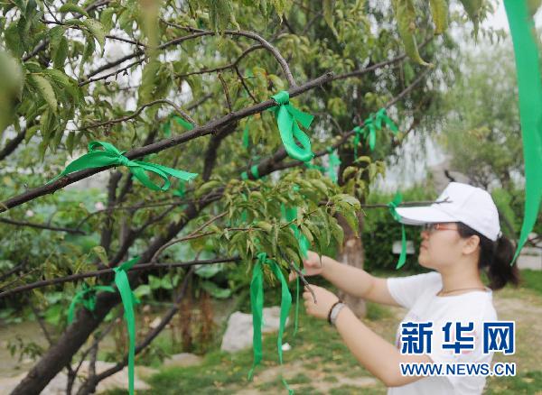 A volunteer from Nanjing University&apos;s Environmental Protection Youth Camp gives a green ribbon to a tourist in Nanjing, Jiangsu Province, July 10, 2011. 