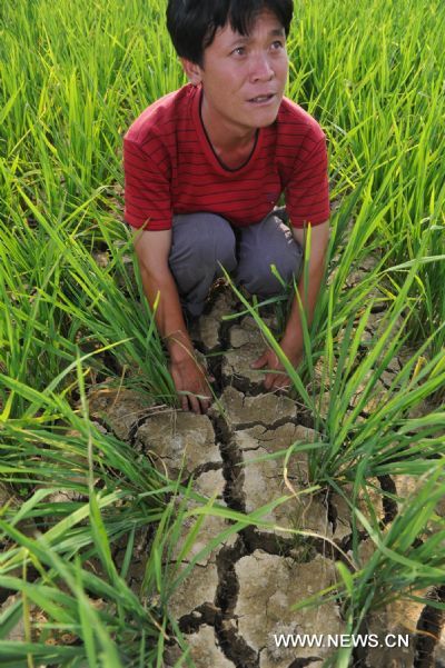 Wen Qiangfu squats down on a piece of splited farmland in Qianxi County, southwest China's Guizhou Province, July 28, 2011. Serious drought hit Guizhou in July.