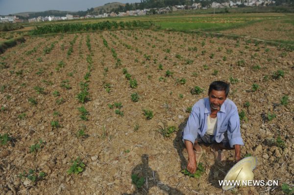 A farmer squats down on a drought field in Qianxi County, southwest China's Guizhou Province, July 28, 2011. Serious drought hit Guizhou in July.