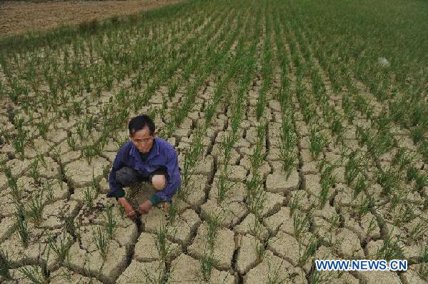 CHINA-GUIZHOU-DROUGHT (CN)