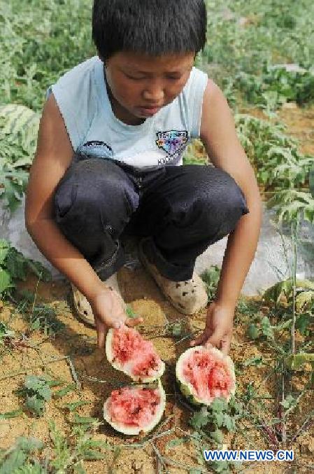 CHINA-GUIZHOU-DROUGHT (CN)