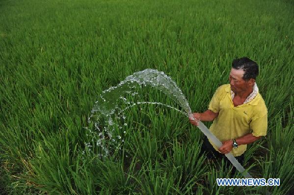 A farmer irrigates farmland in Bangxiang Village of Sansui County, southwest China's Guizhou Province, Aug. 1, 2011.