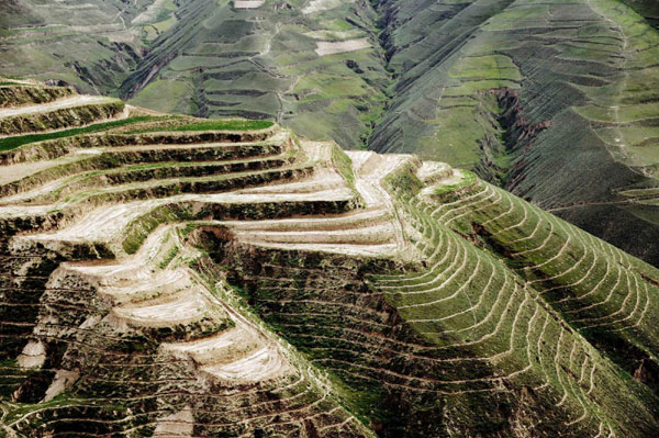 The photo shows an aerial view of the terrace fields that have been harnessed in the Loess Plateau of Linxia Hui Autonomous Prefecture, northwest China&apos;s Gansu Province, Aug 2, 2011.