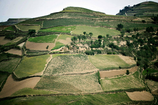 The photo shows an aerial view of the terrace fields that have been harnessed in the Loess Plateau of Linxia Hui Autonomous Prefecture, northwest China&apos;s Gansu Province, Aug 2, 2011. 