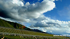 Sheep graze beside the Qinghai-Tibet Railway across the grassland in northern part of southwest China's Tibet Autonomous Region, Aug. 10, 2011.