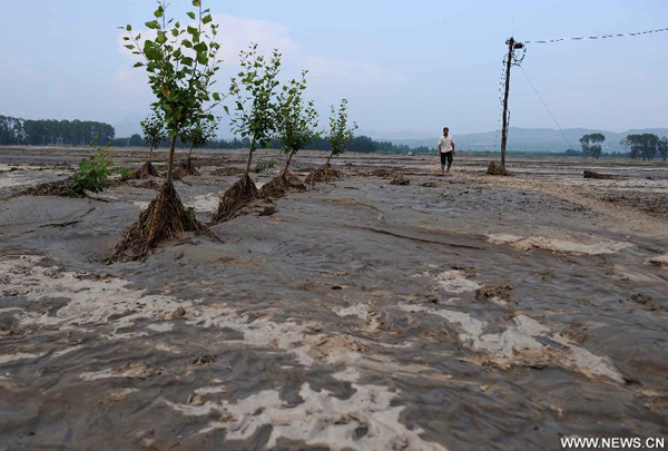 A farmer walks on a farmland destroyed by floods in Linxi County, in Chifeng, north China&apos;s Inner Mongolia Autonomous Region, Aug. 14, 2011. 