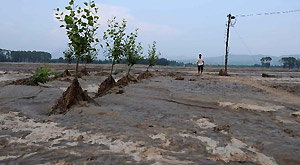 A farmer walks on a farmland destroyed by floods in Linxi County, in Chifeng, north China's Inner Mongolia Autonomous Region, Aug. 14, 2011.