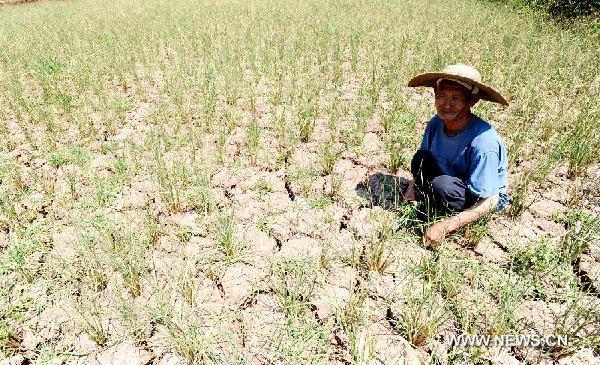 A farmer squats on the dry field in Tuanjie Village of Gulin County, southwest China's Sichuan Province, Aug. 18, 2011. 