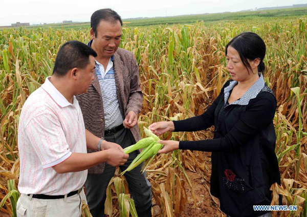 A women shows the dried-up corn at a village of Luliang County in Qujing City, southwest China's Yunnan Province, Aug. 23, 2011. 