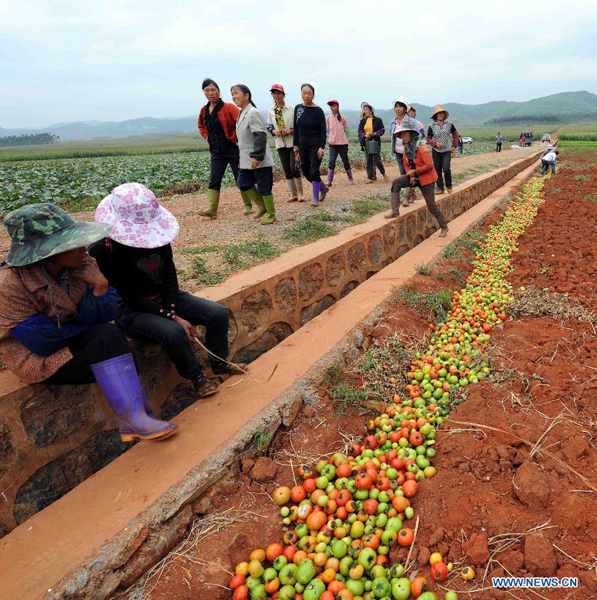 Women walk through the field where piles of inedible tomatoes are abandoned due to severe drought at the Xiaoxin Village of Shizong County in Qujing City, southwest China's Yunnan Province, Aug. 24, 2011. 