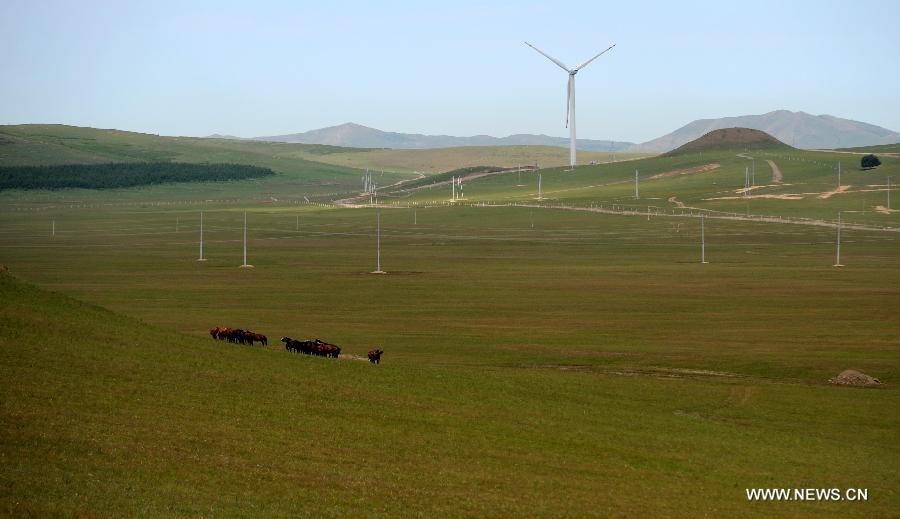 CHINA-INNER MONGOLIA-WIND POWER INDUSTRY (CN)