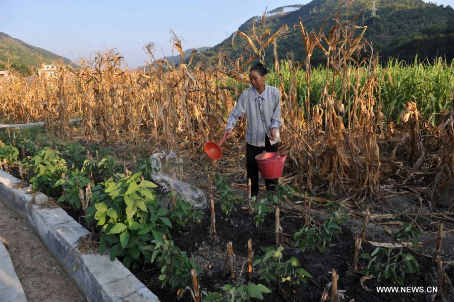 A villager waters croplands in Pingman Village of Tianlin County, south China&apos;s Guangxi Zhuang Autonomous Region, Sept. 7, 2011.