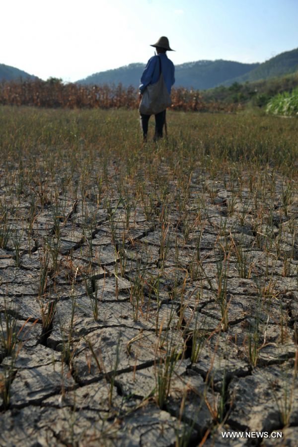 A villager walks on the cracked croplands in Pingman Village of Tianlin County, south China&apos;s Guangxi Zhuang Autonomous Region, Sept. 7, 2011. 