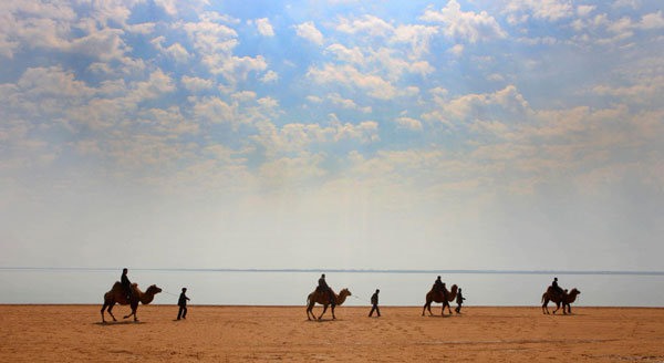 Tourists ride camels near China&apos;s largest desert lake Hongjiannao in Yulin, north China&apos;s Shaanx Province, Sept 24, 2011. 