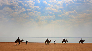 Tourists ride camels near China's largest desert lake Hongjiannao in Yulin, north China's Shaanx Province, Sept 24, 2011.