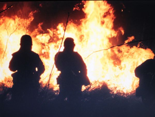 Firemen put out forest fire in Hegang, northeast China's Heilongjing Province, on Oct. 12, 2011. 