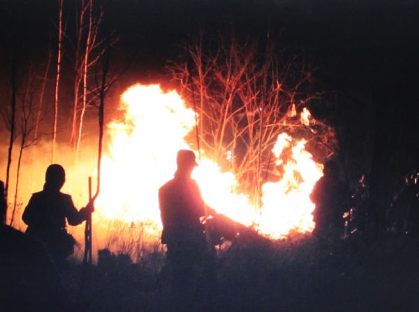 Firemen put out forest fire in Hegang, northeast China's Heilongjing Province, on Oct. 12, 2011.