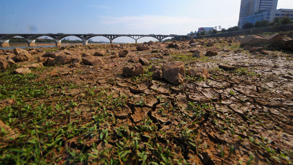 The persistent lack of rain has shrunk the Xiangjiang River in central China's Hunan Province. The current water level of Xiangjiang River is as low as 25.65 meters, which nears the 25.1 meters warning level for city water supply. Photo taken on Oct 15, 2011. 