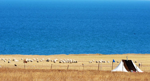 The scenery of Qinghai Lake, the largest lake in China, Oct 18, 2011. 