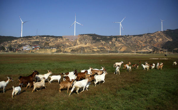 Wind turbines at Laoyemiao wind power plant in Duchang County, east China&apos;s Jiangxi Province, Nov 10, 2010. 