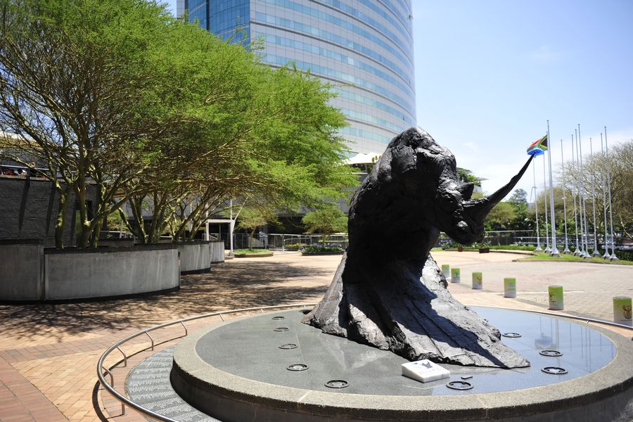 A statue of the rhinoceros near the Durban climate meeting site. [China.org.cn]