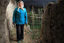 Zhang Chengcun is from Xiangyangbao Village of Qiaotou Town in Datong County. Zhang received a 3,000 yuan (US$476.7) loan from the Yinongdai website and began to plant greenhouse vegetables in 2010. She earned about 20,000 yuan (US$3,178) that year.