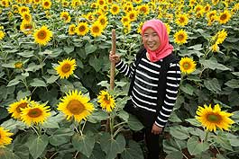 Wang Hui pursues her dreams just as her sunflowers chase after sunshine. Born in 1986, she is a mother of three. She planted 10 mu oil sunflowers to support her family, and she has plans to sell her harvest to repay her debt. Wang can then apply for another 5,000 yuan (US$794.5) loan to raise more cattle and sheep.