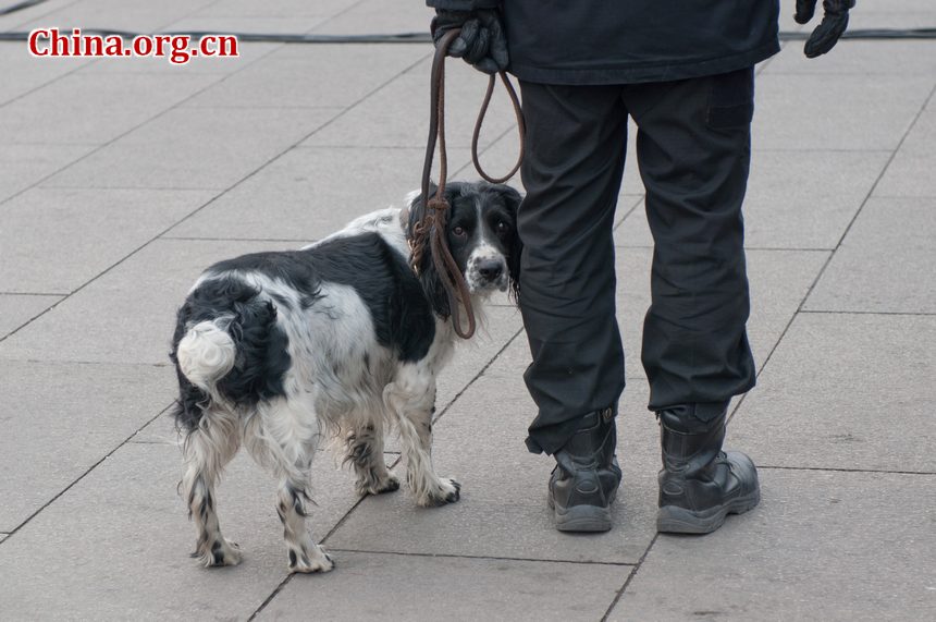 Police also sniff dogs to detect possible dangerous items on journalists' vehicles parked on the Tian'anmen Square on Saturday afternoon as the CPPCC opens its annual sessions. [China.org.cn]