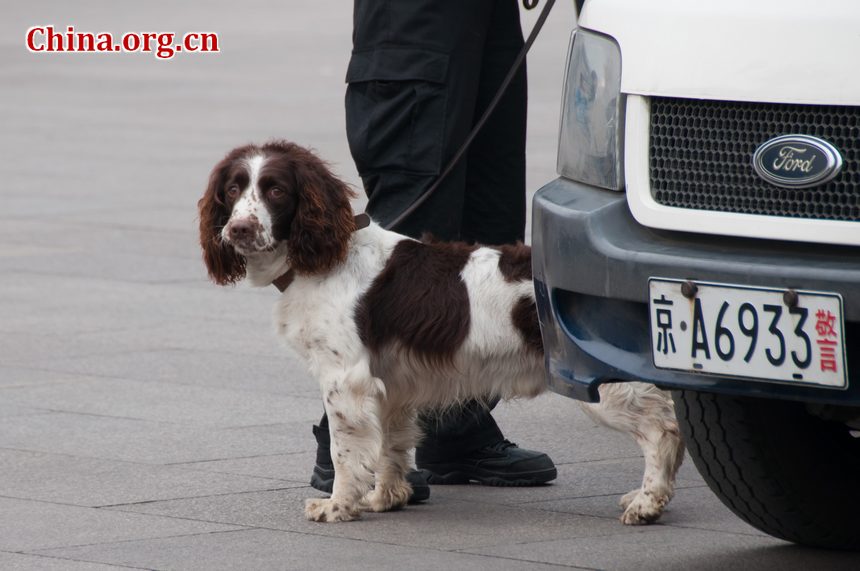 Police also sniff dogs to detect possible dangerous items on journalists' vehicles parked on the Tian'anmen Square on Saturday afternoon as the CPPCC opens its annual sessions. [China.org.cn]