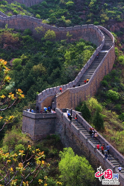 The Jinshanling section of the Great Wall is surrounded by magnificent green mountains and blossoming spring flowers this time of year. 