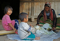 Thai government is encouraging and motivating tribes financially to grow crops instead of opium in the North of Thailand close to the Golden Triangle. However, lots of people are still poor and don’t have stable source of income.