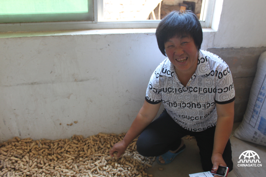 Duan Lianyu shows off her harvested peanuts thanks to the P2P micro loans in her home in Shanggaozhai Village of Jiaxian County, northwest China&apos;s Shaanxi Province, June 10, 2012.