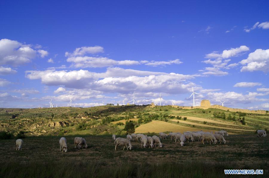 Sheep eat grass near the Xiaowutai Wind Power Plant in Youyu County, north China's Shanxi Province. 