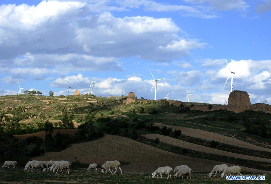 Sheep eat grass near the Xiaowutai Wind Power Plant in Youyu County, north China's Shanxi Province. 