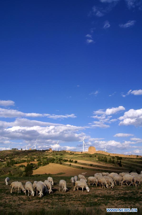 Sheep eat grass near the Xiaowutai Wind Power Plant in Youyu County, north China's Shanxi Province. 