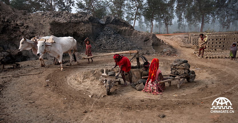 These labors work in brick fields and most of them make the field their home, stay there with family - man, wife and children and almost everyone works so they can earn more money.