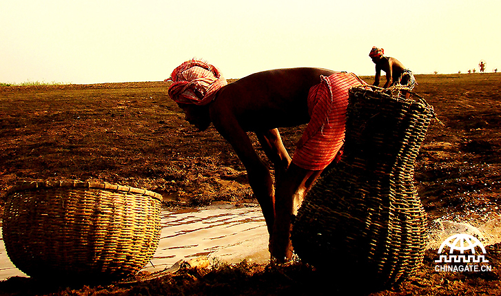 More than a thousand indigenous fishermen and women make their living out of collecting fish at the River Mayurakshi with their own hand-made traditional fishing nets and bamboo fish-baskets. Sometimes their entire day's effort at work is worth just as little as Rs. 30-40 (even less than a dollar).