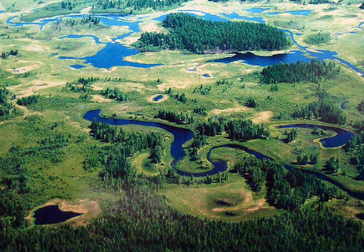 Photo shows Dazhanghe Wetland in Heilongjiang Province.