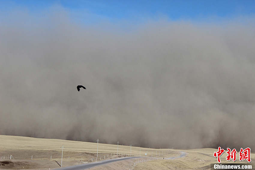 An enormous wall of dust hits the Shandan Horse Ranch, Shandan County, northwestern China's Gansu Province, in this stunning shot captured on March 5, 2013. 