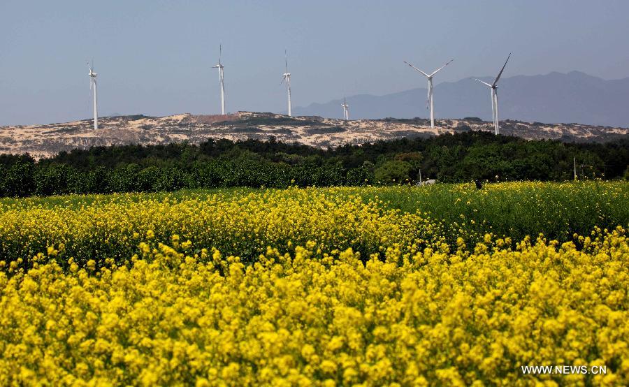 #CHINA-JIANGXI-JIUJIANG-WIND POWER PLANT (CN)