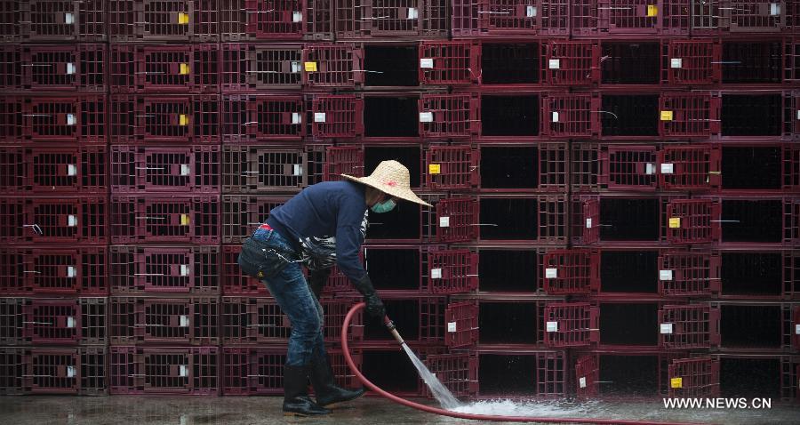 A worker cleans the chicken coops at a live poultry market in Hong Kong, south China, April 8, 2013.