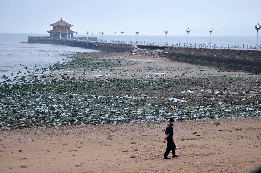 Photo taken on May 27, 2013 shows the collapsed part of Zhanqiao Bridge in Qingdao, east China's Shandong Province. 