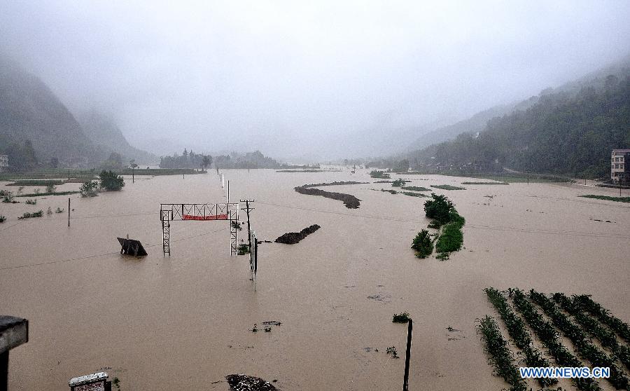 Fields are flooded in Xiaba Village, Gaoluo Township, Xuan'en County, Enshi Tujia and Miao Autonomous Prefecture of central China's Hubei Province, June 6, 2013. 