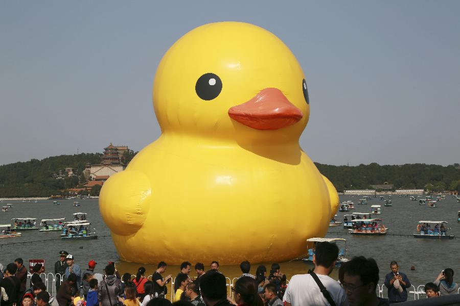 Tourists watch the giant rubber duck, the brainchild of Dutch artist Florentijn Hofman, at the Summer Palace in Beijing, capital of China, Oct. 7, 2013, the last day of the seven-day National Day holiday.