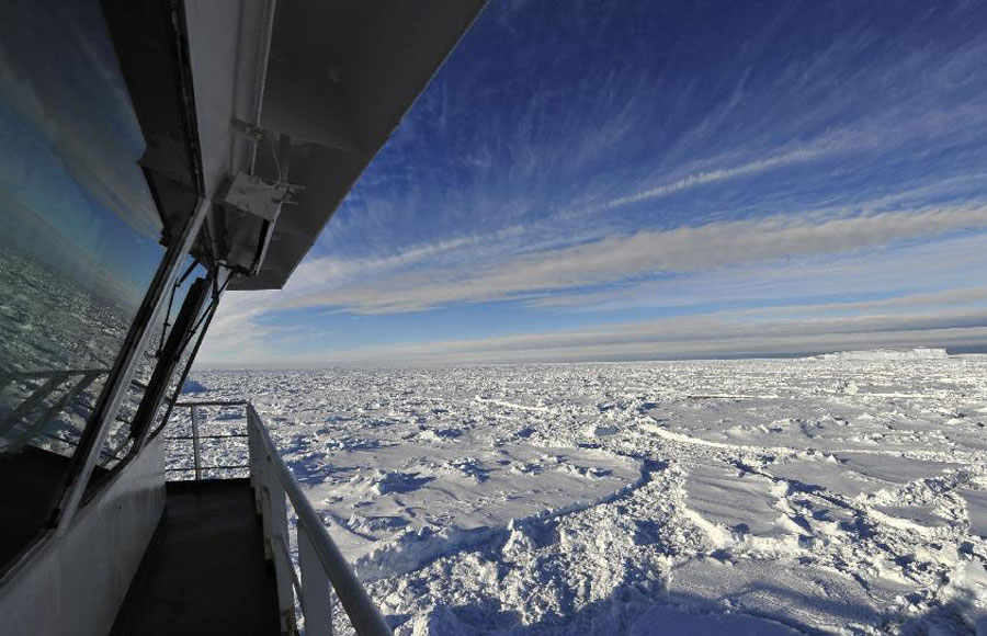 The Chinese icebreaker Xuelong, or Snow Dragon, anchors in a sea-ice field off Antarctica, Jan. 3, 2014. Xuelong is blocked by thick ice after successfully transferred passengers aboard stranded Russian science vessel MV Akademik Shokalskiy Thursday.[Photo/Xinhua] 