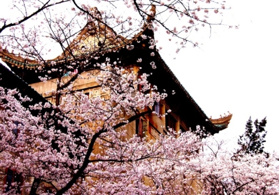 Wuhan University, one of the &apos;top 10 Chinese universities in overall strength&apos; by China.org.cn.