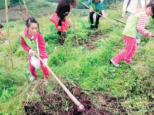 Gan took out a lease on the farmland covering a mountain so that her daughter could be closer to nature. [Photo/Chongqing Evening Newspaper] 