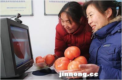 Internet use in China’s rural areas lags behind that in cities. While three-fifth of urban Chinese use the Internet, less than a quarter of the rural population do so, and the gap is growing. 