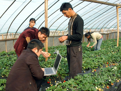 According to a new World Bank report, improved coordination and inclusion mechanisms can accelerate ICT usage in Chinese villages and spur transformation of the rural countryside. 